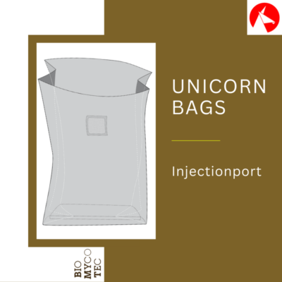 Injektionsport